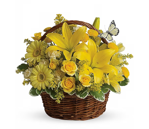 Basket Full of Wishes