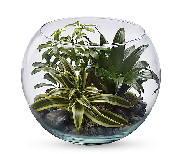 Sphere Of Tranquility Terrarium